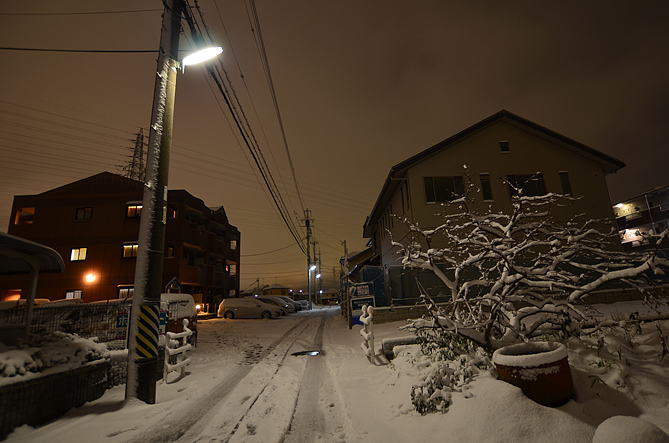 少し路地を散歩してみた。雪のせいか静かだ。
